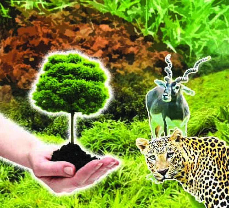 World Wildlife Day 2022: ವನ್ಯಜೀವಿ ಪ್ರಭೇದಗಳ ರಕ್ಷಣೆಗೆ ಕರೆ