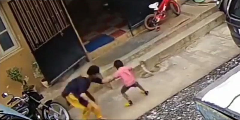 Video: ಮಂಡ್ಯದಲ್ಲಿ ನಾಗರಹಾವಿನಿಂದ ಕ್ಷಣಾರ್ಧದಲ್ಲಿ ಮಗನನ್ನು ಪಾರು ಮಾಡಿದ ತಾಯಿ