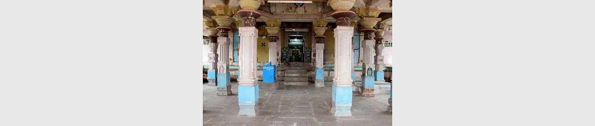 ಸುರಪುರ: ಸ್ತಂಭಾರೋಹಣ ವಿಶಿಷ್ಟತೆಯ ಹಾಲೋಕಳಿ ಪರಿಷೆ