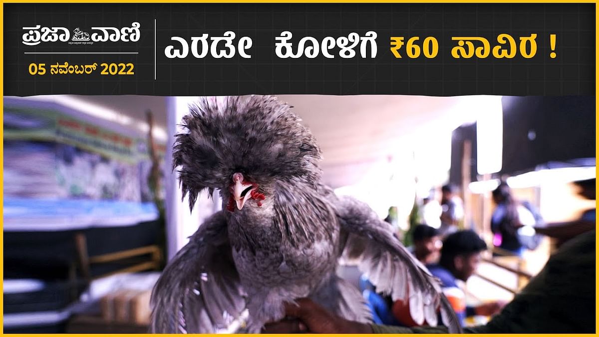 Video| ಕೃಷಿ ಮೇಳ: ಎರಡೇ ಕೋಳಿಗೆ ₹60 ಸಾವಿರ