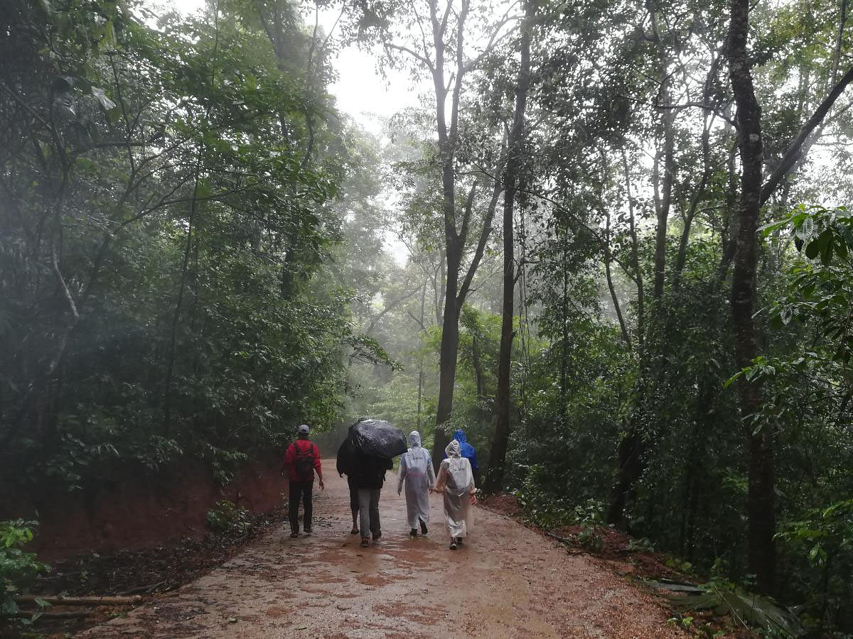 ದಾರಿಯಲ್ಲಿ ಪ್ರವಾಸಿಗರು