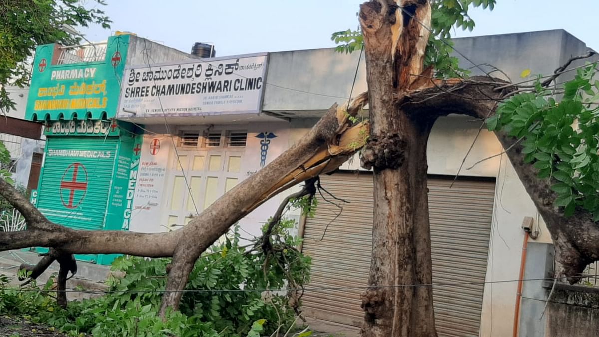 Photos | ಮೈಸೂರಿನಲ್ಲಿ ಸುರಿದ ಭಾರಿ ಮಳೆ