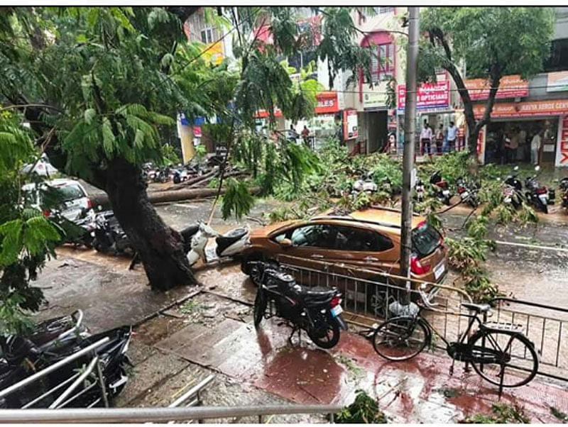 Photos:  ಬೆಂಗಳೂರಿನಲ್ಲಿ ಗಾಳಿ ಮಳೆಗೆ ಧರೆಗುಳಿದ ಮರ