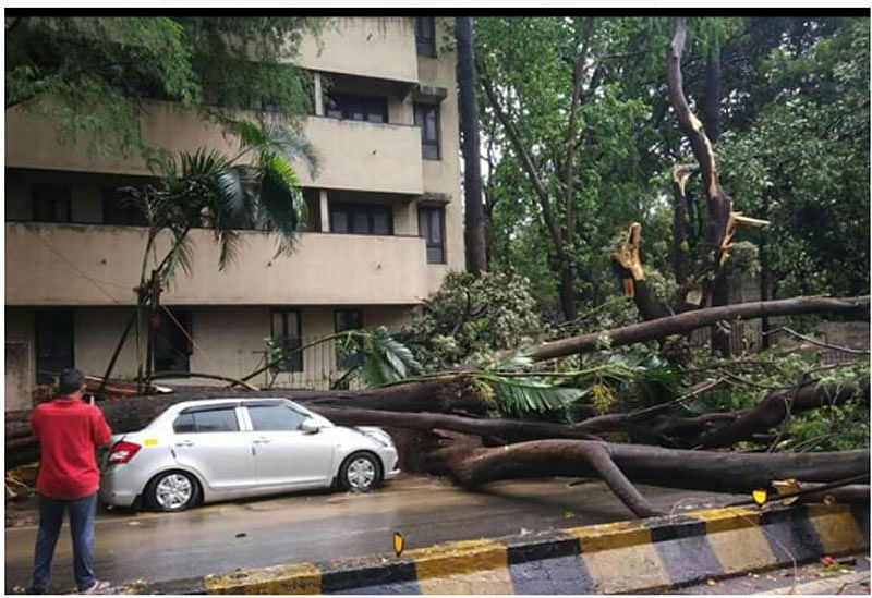 Photos:  ಬೆಂಗಳೂರಿನಲ್ಲಿ ಗಾಳಿ ಮಳೆಗೆ ಧರೆಗುಳಿದ ಮರ