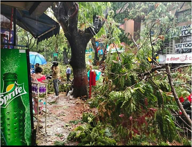 Photos:  ಬೆಂಗಳೂರಿನಲ್ಲಿ ಗಾಳಿ ಮಳೆಗೆ ಧರೆಗುಳಿದ ಮರ