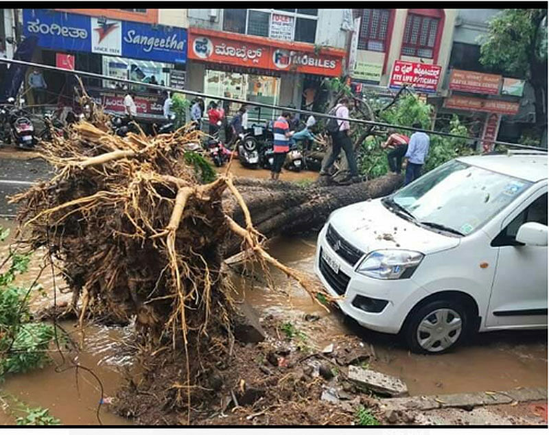 Photos:  ಬೆಂಗಳೂರಿನಲ್ಲಿ ಗಾಳಿ ಮಳೆಗೆ ಧರೆಗುಳಿದ ಮರ