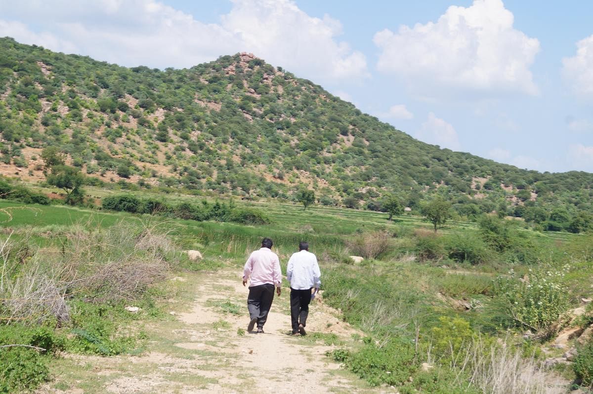 ಕಾಡು ಉಳಿಸಿ ನೀರು ಗಳಿಸಿ