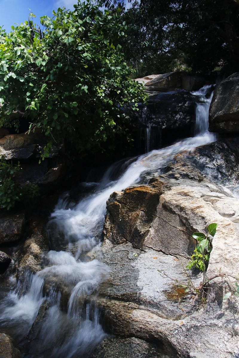 ಚನ್ನಗಿರಿಯ ಜಲಪಾತಗಳು ನೋಡಲು ಬಲು ಚೆನ್ನ
