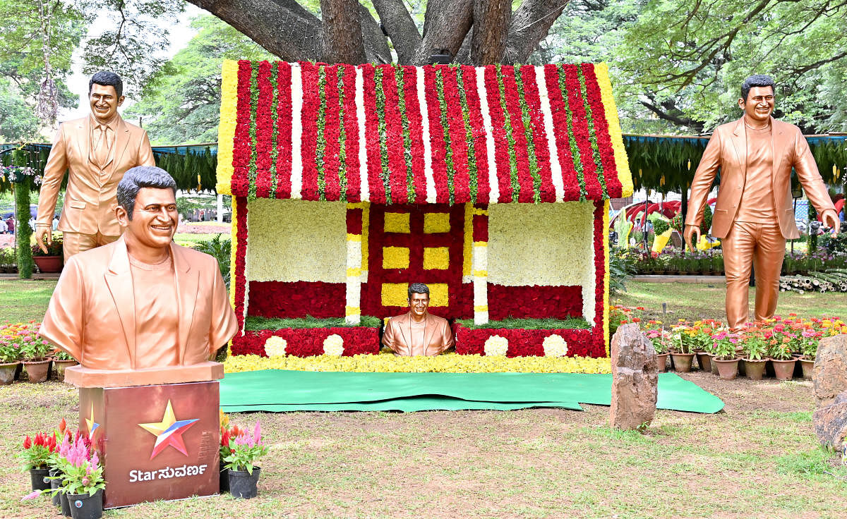 ದಸರಾ ಮಹೋತ್ಸವ 2022 : ಕುಪ್ಪಣ್ಣ ಉದ್ಯಾನವನದಲ್ಲಿ ಪುಷ್ಪ ಪ್ರದರ್ಶನದ ಒಂದು ನೋಟ. ಪ್ರಜಾವಾಣಿ ಚಿತ್ರ.