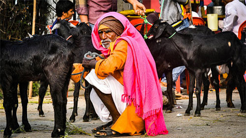 ಚಳಿಗಾಲದ ವ್ಯಾಪಾರ