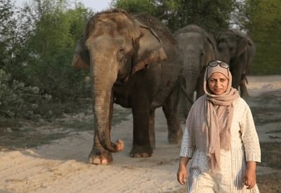 Aliya Mir: A life in service of wild animals.