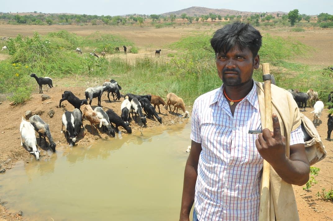 ತೃತೀಯ ಬಹುಮಾನ ಚಿತ್ರ: ಶಂಕರ ಗುರಿಕಾರ