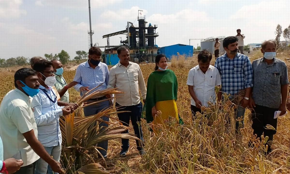 ವಿಷಾನಿಲ ಸೋರಿಕೆ: 10 ಎಕರೆ ಬೆಳೆ ನಾಶ, ಪಜ್ಞೆ ತಪ್ಪಿದ್ದ ಜಾನುವಾರು, ಘಟಕ ಸ್ಥಗಿತ