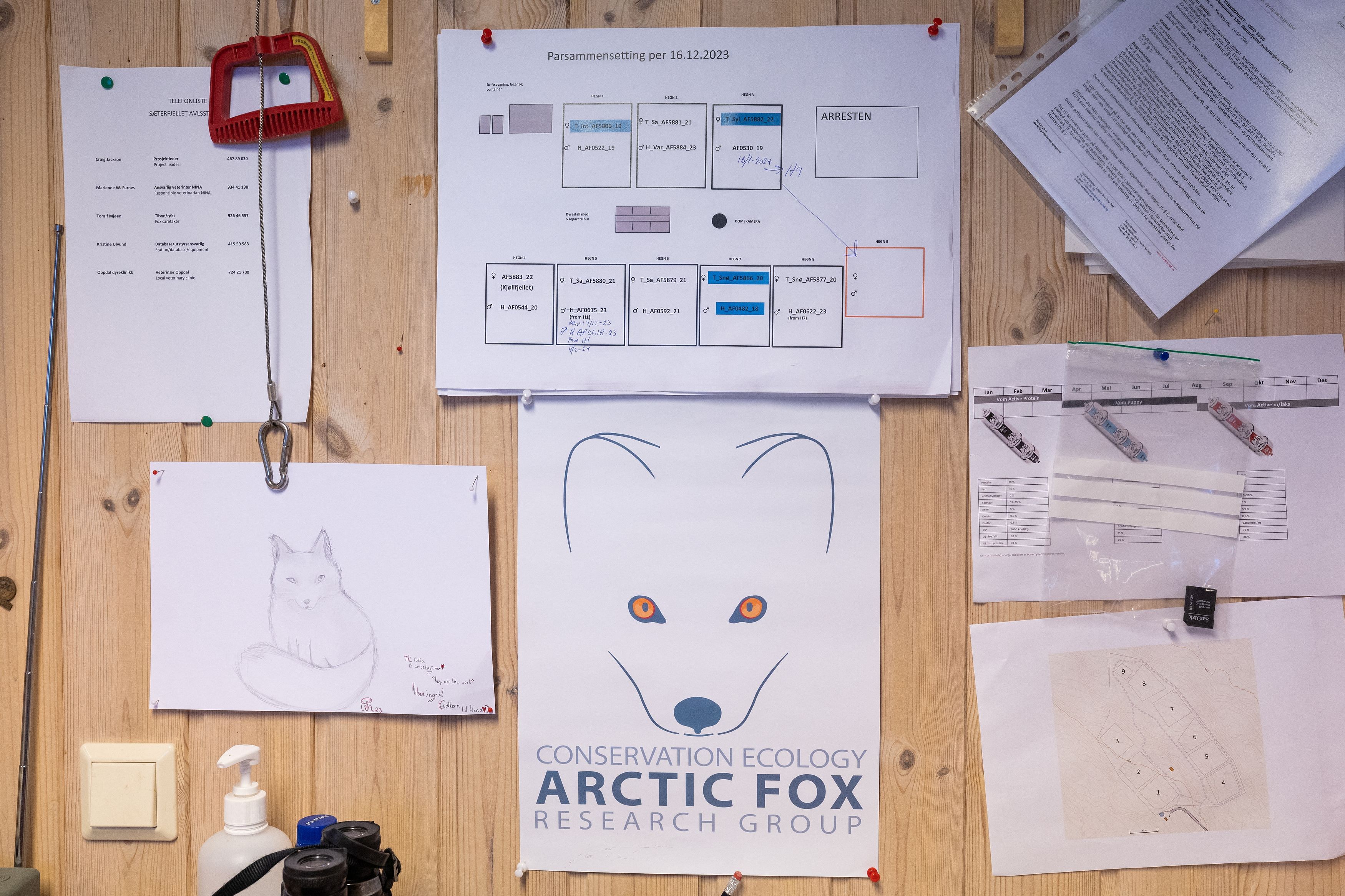 <div class="paragraphs"><p>A plan for Arctic foxes couple composition hangs on a wall inside the office building at the Arctic Fox Captive Breeding Station run by Norwegian Institute for Nature Research  near Oppdal, Norway, February 4, 2024. As part of the state-sponsored program to restore Arctic foxes, Norway has been feeding the population for nearly 20 years, and the program has helped to boost the fox.</p></div>