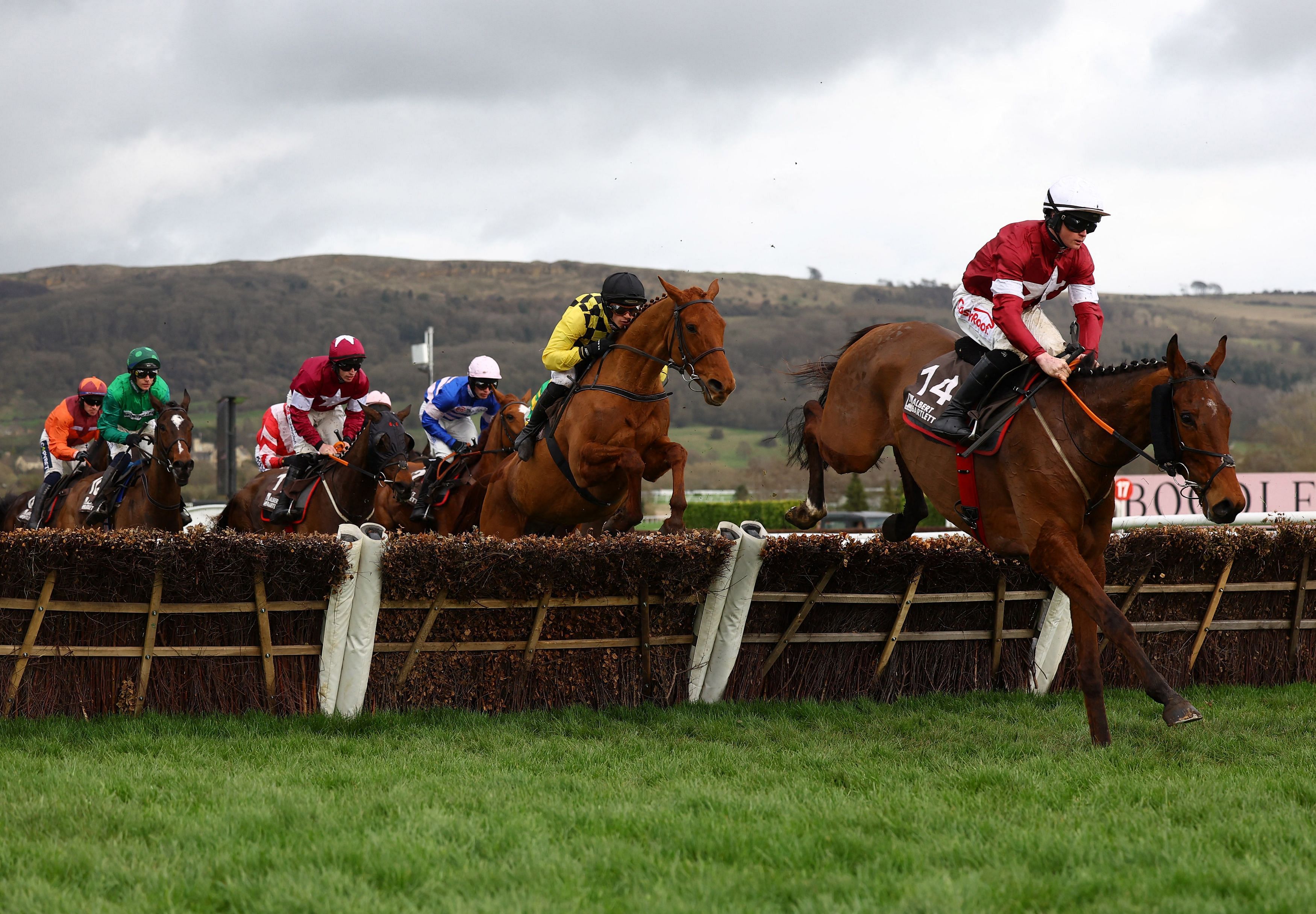 Horse Racing - Cheltenham Festival - Cheltenham Racecourse, Cheltenham, Britain - March 15, 2024 Sam Ewing riding Stellar Story in action before winning the 14:50 Albert Bartlett Novices’ Hurdle Action Images via Reuters/Paul Childs