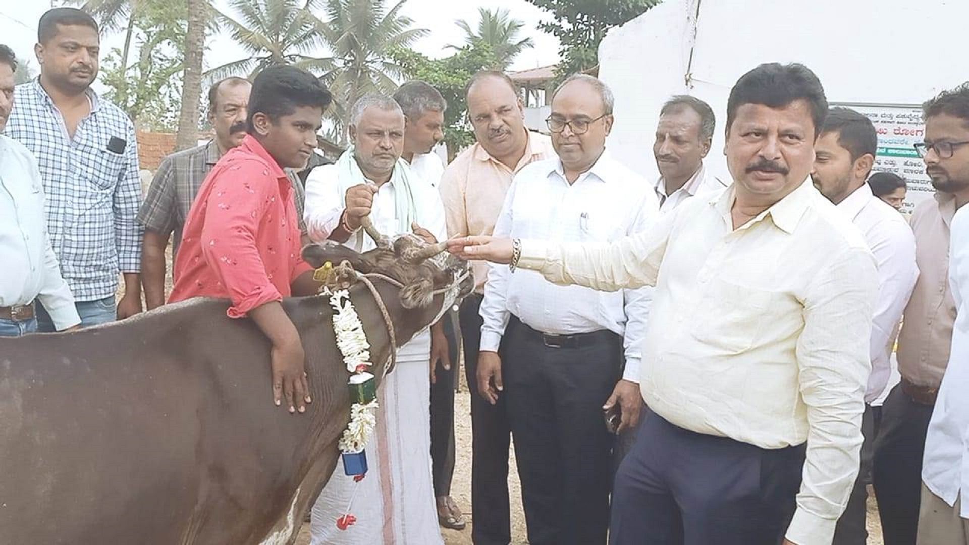 ಅರಕಲಗೂಡು ತಾಲ್ಲೂಕು ಕಾಶಿಪುರ ಗ್ರಾಮದಲ್ಲಿ ಸೋಮವಾರ ಹಸುವಿಗೆ ಪೂಜೆ ಸಲ್ಲಿಸುವ ಮೂಲಕ ಕಾಲು ಬಾಯಿ ರೋಗದ ವಿರುದ್ಧ ಲಸಿಕಾ ಅಭಿಯಾನಕ್ಕೆ ಚಾಲನೆ ನೀಡಲಾಯಿತು. ಬಸವರೆಡ್ಡಪ್ಪ ರೋಣದ, ಡಾ. ಎ.ಡಿ.ಶಿವರಾಮ್, ಗಂಗಾಧರ್ ಪಾಲ್ಗೊಂಡಿದ್ದರು