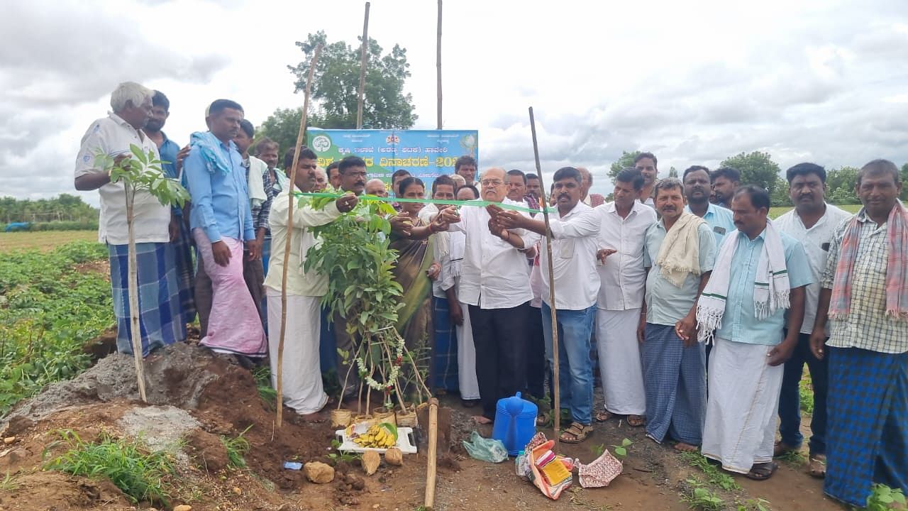 ರಟ್ಟೀಹಳ್ಳಿ ತಾಲ್ಲೂಕು ಕುಂಚೂರ ಗ್ರಾಮದಲ್ಲಿ ಸೋಮವಾರ ವಿಶ್ವ ಪರಿಸರ ದಿನಾಚರಣೆ ಅಂಗವಾಗಿ ಕೃಷಿ ಇಲಾಖೆ ಅರಣ್ಯ ಘಟಕದ ವತಿಯಿಂದ ನರೇಗಾ ಯೋಜನೆಯಡಿ ರೈತರ ಬದುಗಳಲ್ಲಿ ಸಸಿ ನೆಡುವ ಕಾರ್ಯಕ್ರಮಕ್ಕೆ ಶಾಸಕ ಯು.ಬಿ. ಬಣಕಾರ ಚಾಲನೆ ನೀಡಿದರು 