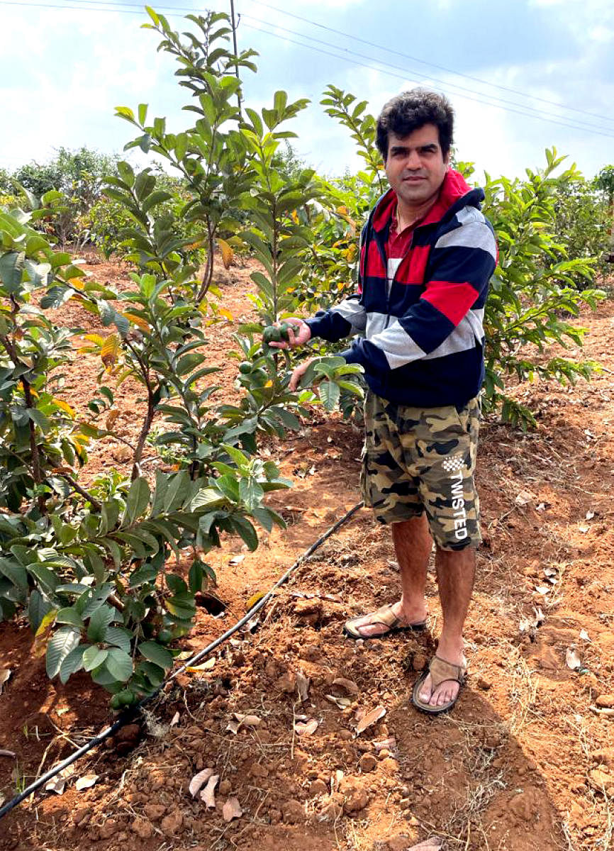 ಮೊಳಕಾಲ್ಮುರು ತಾಲ್ಲೂಕಿನ ದೇವಸಮುದ್ರದಲ್ಲಿ ತಾವು ಬೆಳೆದ ಬುಕ್ಕೆ ಗಿಡದ ಜತೆ ಡಾ.ಅಭಿಲಾಶ್.