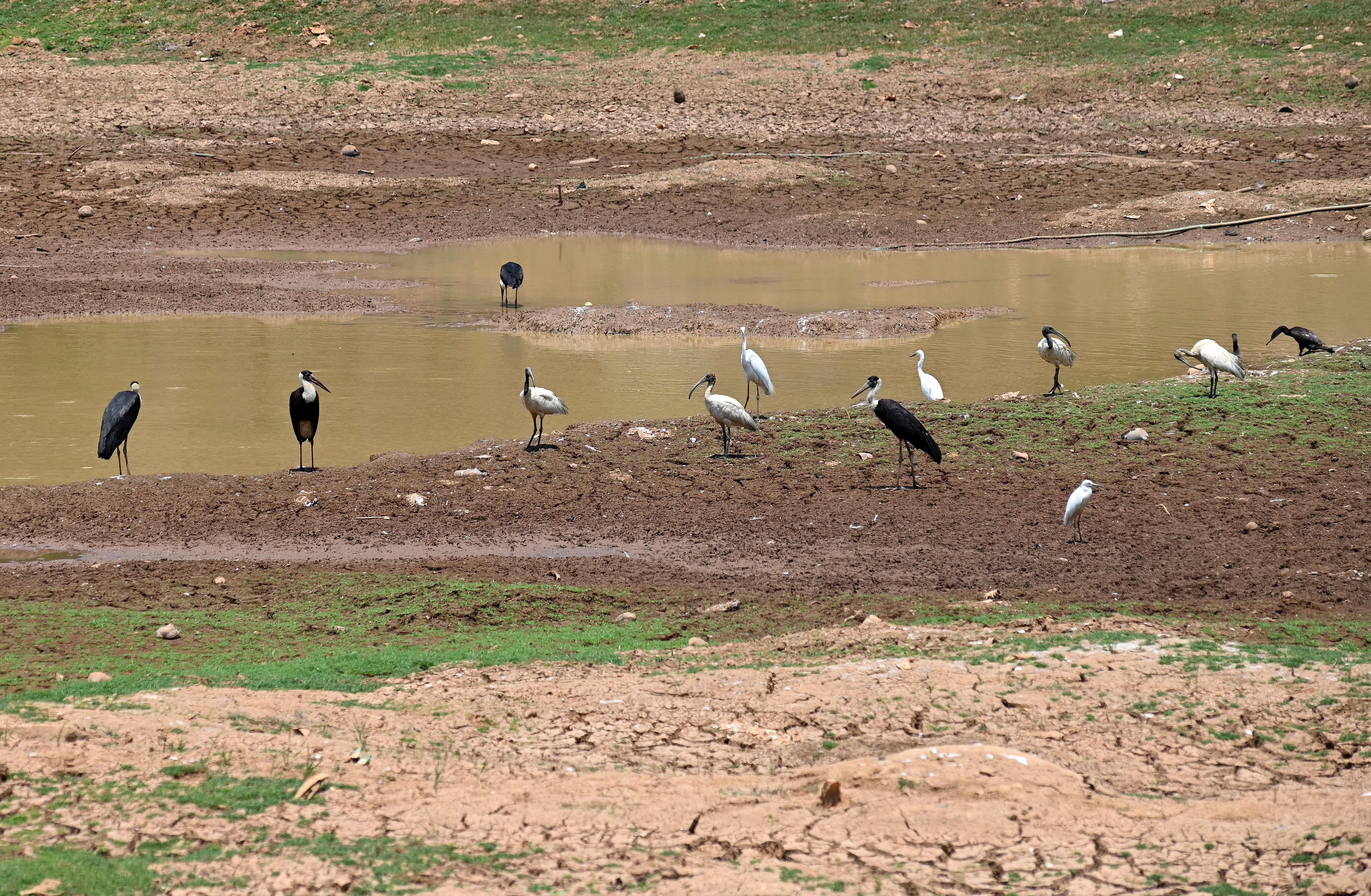 ಕನಿಷ್ಠ ನಾಲ್ಕು ತಿಂಗಳು ಮಳೆ ಕಾಣುವ ಮಂಗಳೂರು ನಗರದ ಸುತ್ತಮುತ್ತಲಿನ ಕೆರೆಗಳು ಏಪ್ರಿಲ್‌ ತಿಂಗಳು ಬಂದಾಗ ಈಸ್ಥಿತಿಗೆ ಬರುತ್ತವೆ. – ಪ್ರಜಾವಾಣಿ ಚಿತ್ರ / ಫಕ್ರುದ್ದೀನ್ ಎಚ್