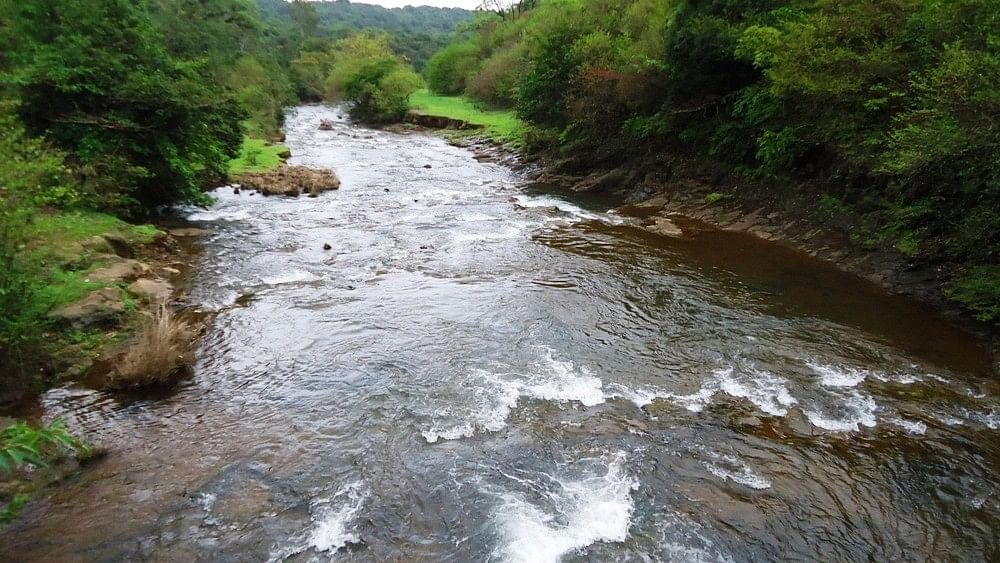 ಖಾನಾಪುರ ತಾಲ್ಲೂಕಿನ ಕಣಕುಂಬಿ ಅರಣ್ಯದಲ್ಲಿ ಮಹದಾಯಿ ನದಿಯಲ್ಲಿ ಈ ವರ್ಷದ ಬೇಸಿಗೆಯಲ್ಲಿ ಕಂಡುಬಂದ ನೀರಿನ ಹರಿವು.