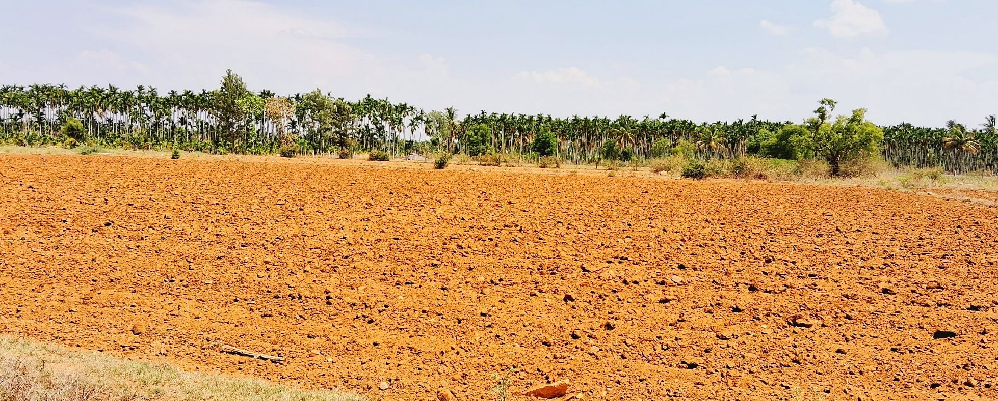 ಸಾಂದರ್ಭಿಕ ಚಿತ್ರ