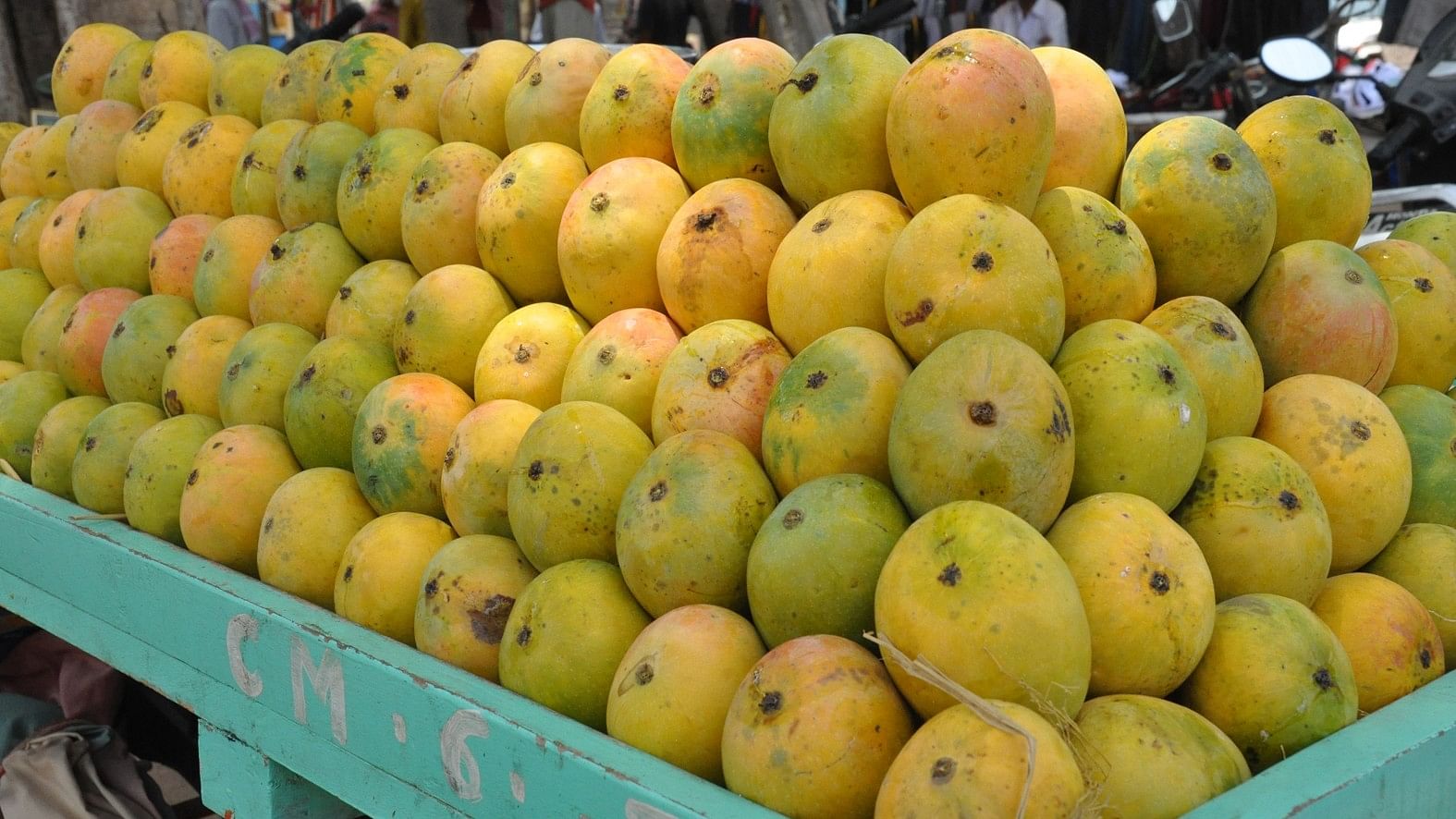 ಮಾವಿನ ಹಣ್ಣು