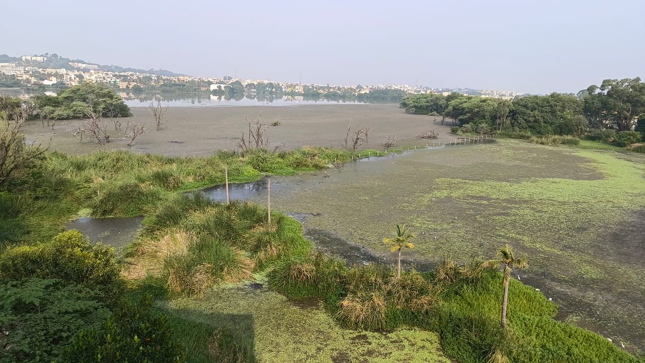 ಕಲ್ಮಶ ತುಂಬಿಕೊಂಡಿರುವ ಚಿಕ್ಕಬಾಣಾವರ ಕೆರೆ