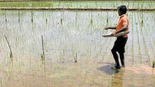 ಪ್ರಾತಿನಿಧಿಕ ಚಿತ್ರ