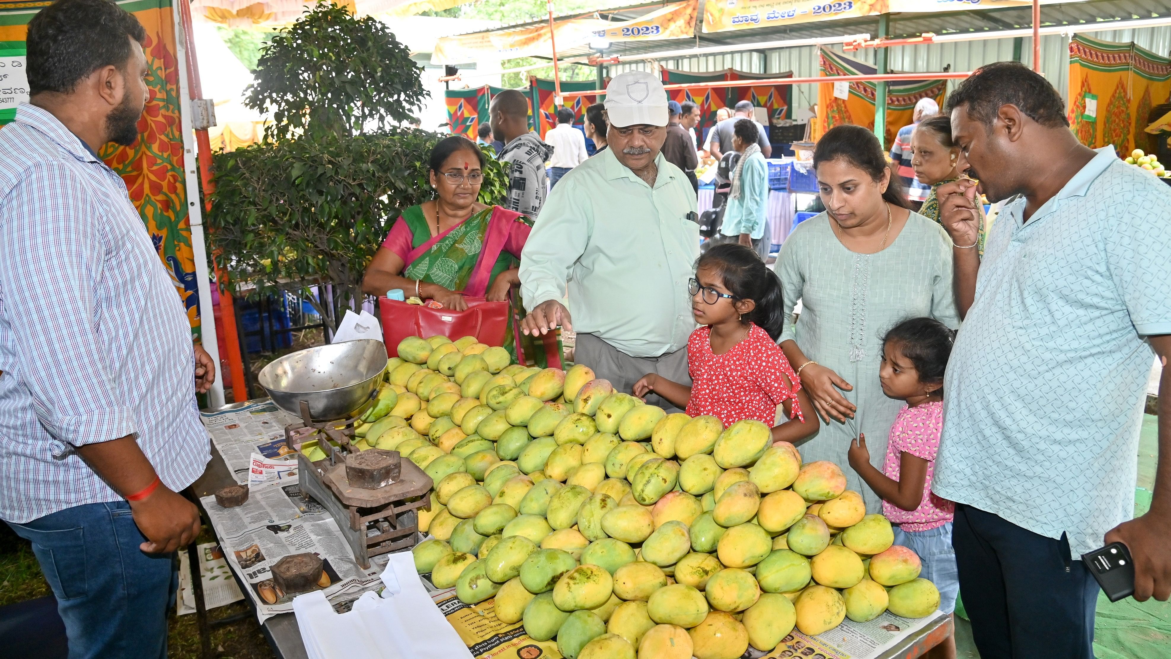 ತೋಟಗಾರಿಕೆ ಇಲಾಖೆಯಿಂದ ಆಯೋಜಿಸಿದ್ದ ಮಾವು ಮೇಳದ ನೋಟ