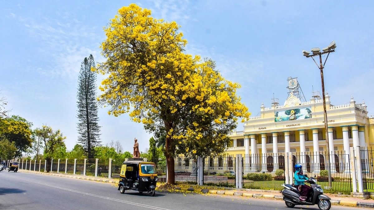 ಮೈಸೂರು ವಿವಿ