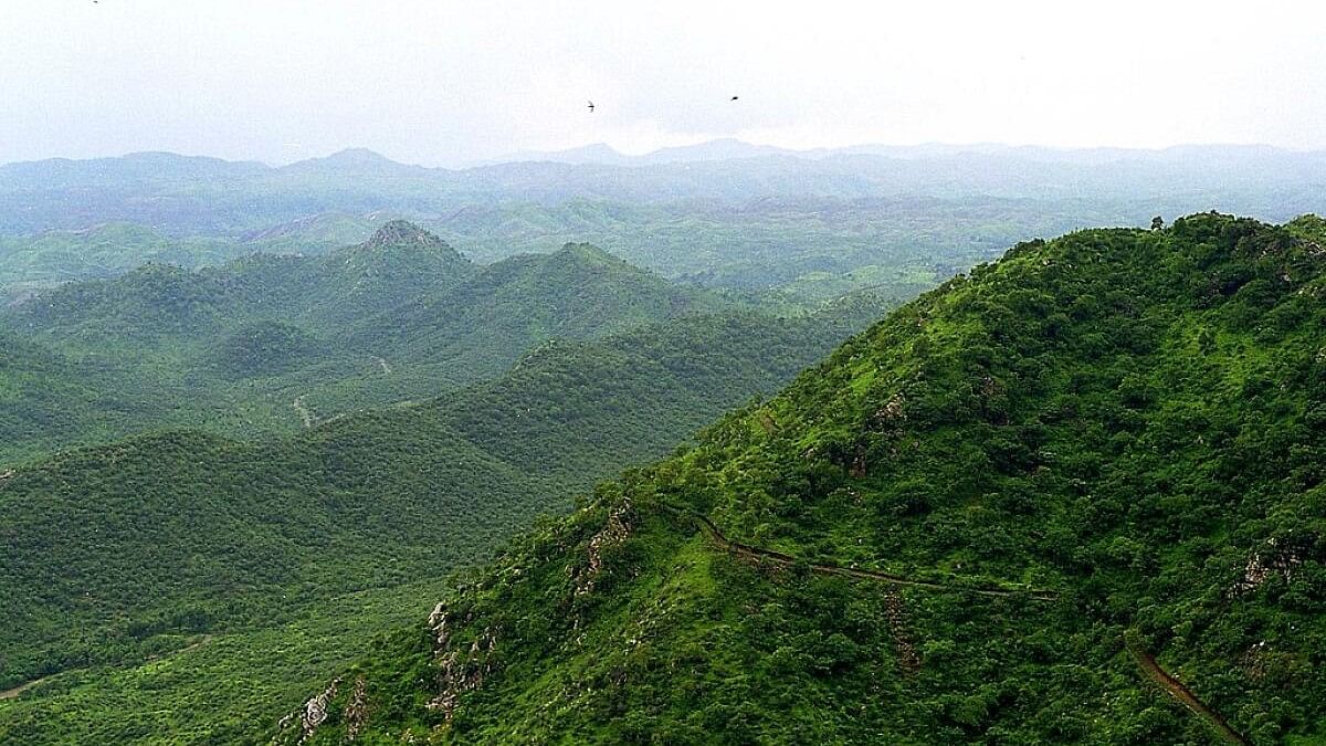 ಅರಾವಳಿ ಪರ್ವತ ಶ್ರೇಣಿ