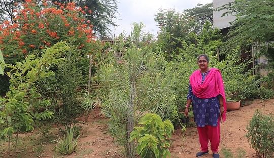 ಕುಮಾರಪಟ್ಟಣ ಸಮೀಪದ ಕೊಡಿಯಾಲದ ಅಮೃತವರ್ಷಿಣಿ ವಿದ್ಯಾಲಯದ ಬೃಂದಾವನ ಕ್ಯಾಂಪಸ್‌ನಲ್ಲಿ ಉದ್ಯಾನವನ ನಿರ್ಮಿಸಿರುವುದು