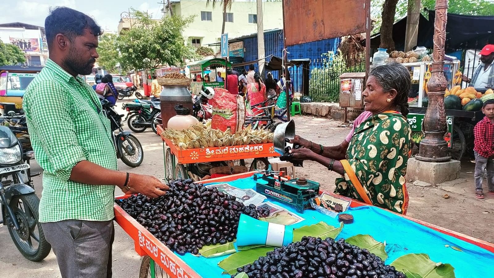 ಚಾಮರಾಜನಗರದಲ್ಲಿ ತಳ್ಳುಗಾಡಿಯಲ್ಲಿ ನೇರಳೆ ಹಣ್ಣನ್ನು ರಾಶಿ ಹಾಕಿ ವ್ಯಾಪಾರ ಮಾಡುತ್ತಿರುವುದು