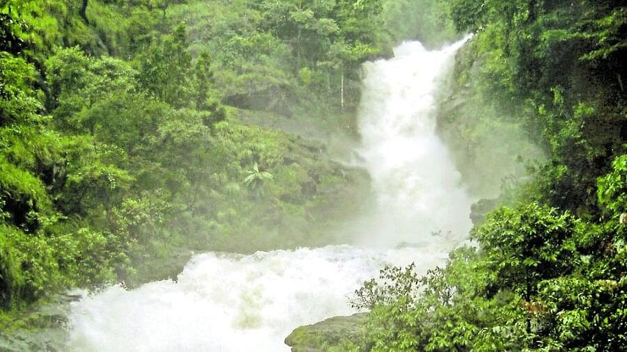 ಇರ್ಪು ಫಾಲ್ಸ್