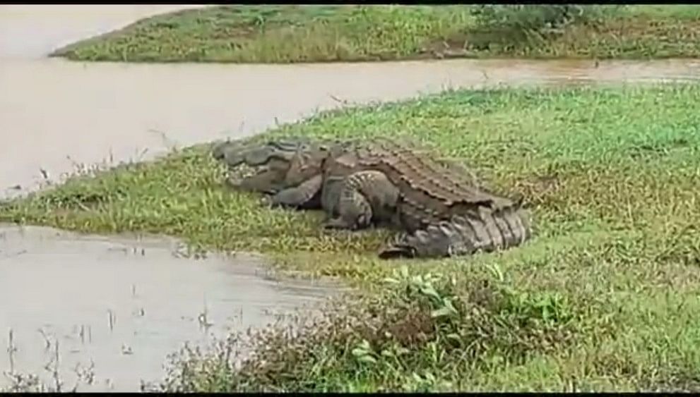 ಸಾಂಕೇತಿಕ ಚಿತ್ರ