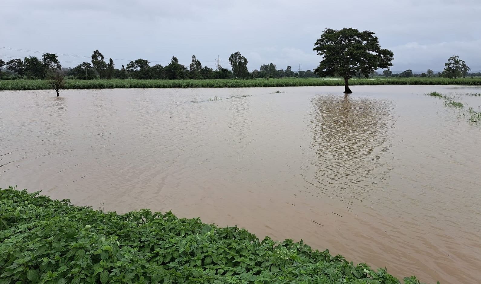 Belagavi Rains | ಒಳಹರಿವು ಹೆಚ್ಚಳ; ನದಿ ಪಾತ್ರಗಳಲ್ಲಿ ಎಚ್ಚರಿಕೆ ಗಂಟೆ