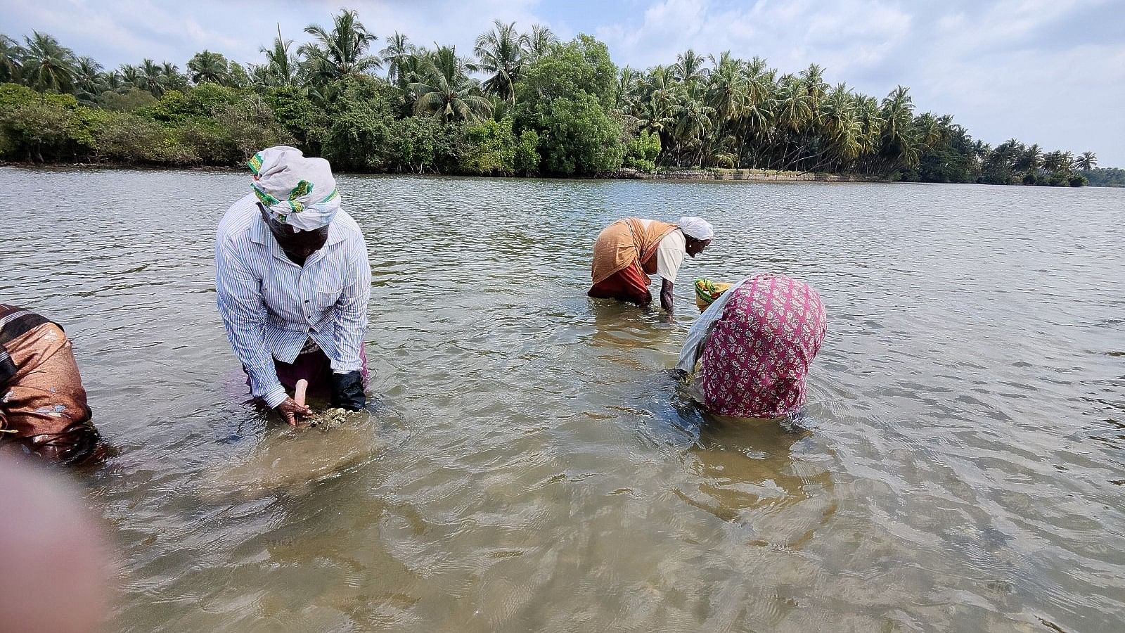 ಕಲ್ಲ ಹುಡುಕಲು ಆಳಕ್ಕೆ ಇಳಿದವರು