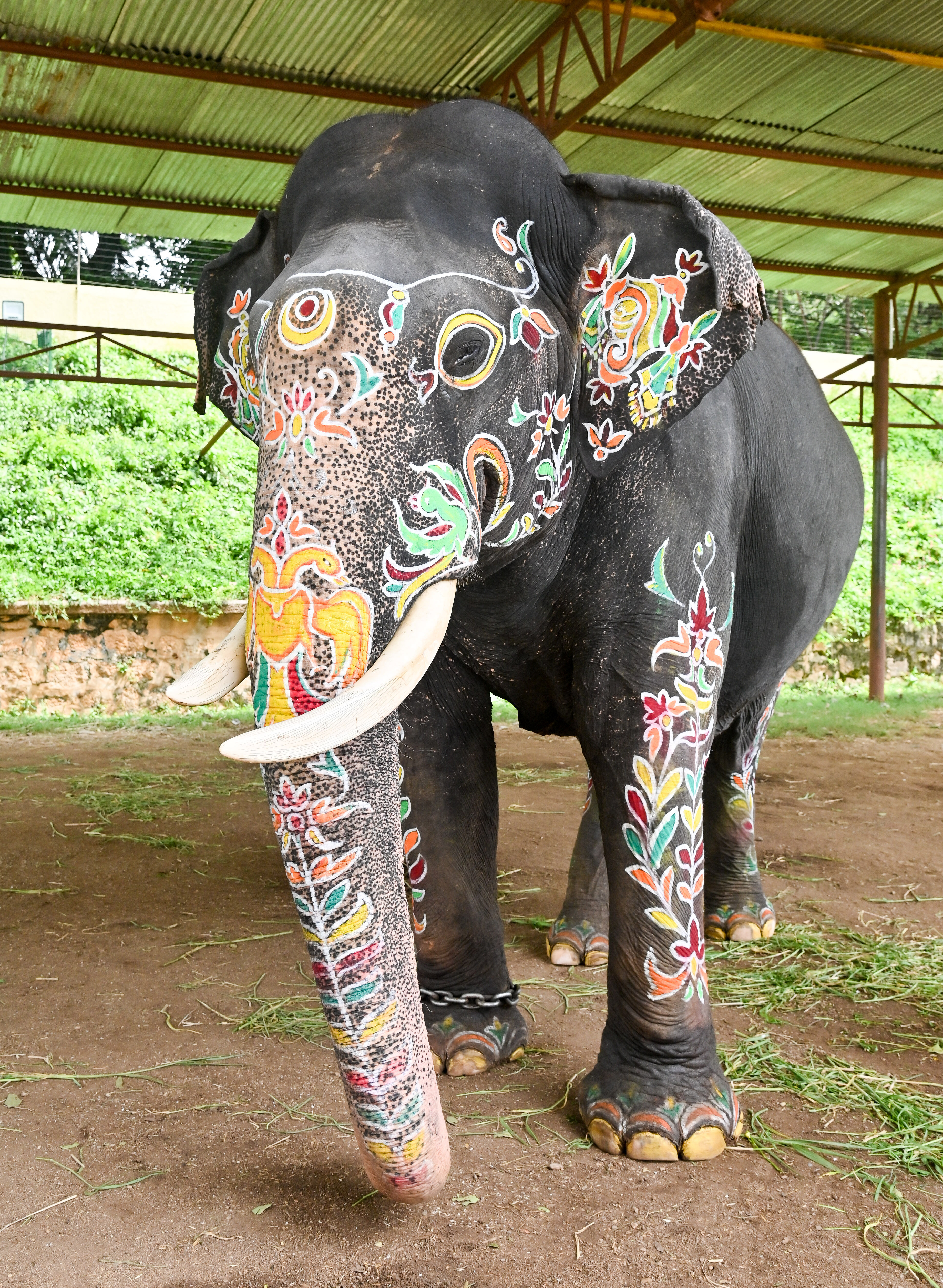 ಅಭಿಮನ್ಯು