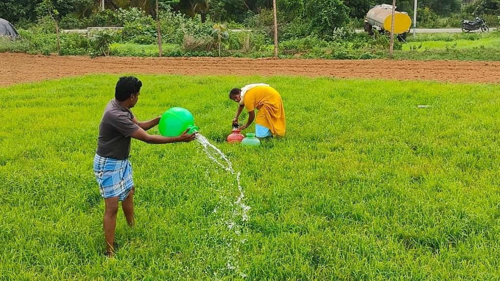 ತೋವಿನಕೆರೆಯ ಟಿ.ಎಲ್.ಸಿದ್ಧಗಂಗಣ್ಣ, ಮಹಾದೇವಮ್ಮ ದಂಪತಿ ಬಿಂದಿಗೆಯಲ್ಲಿ ರಾಗಿಗೆ ನೀರು ಹಾಕಿದರು 