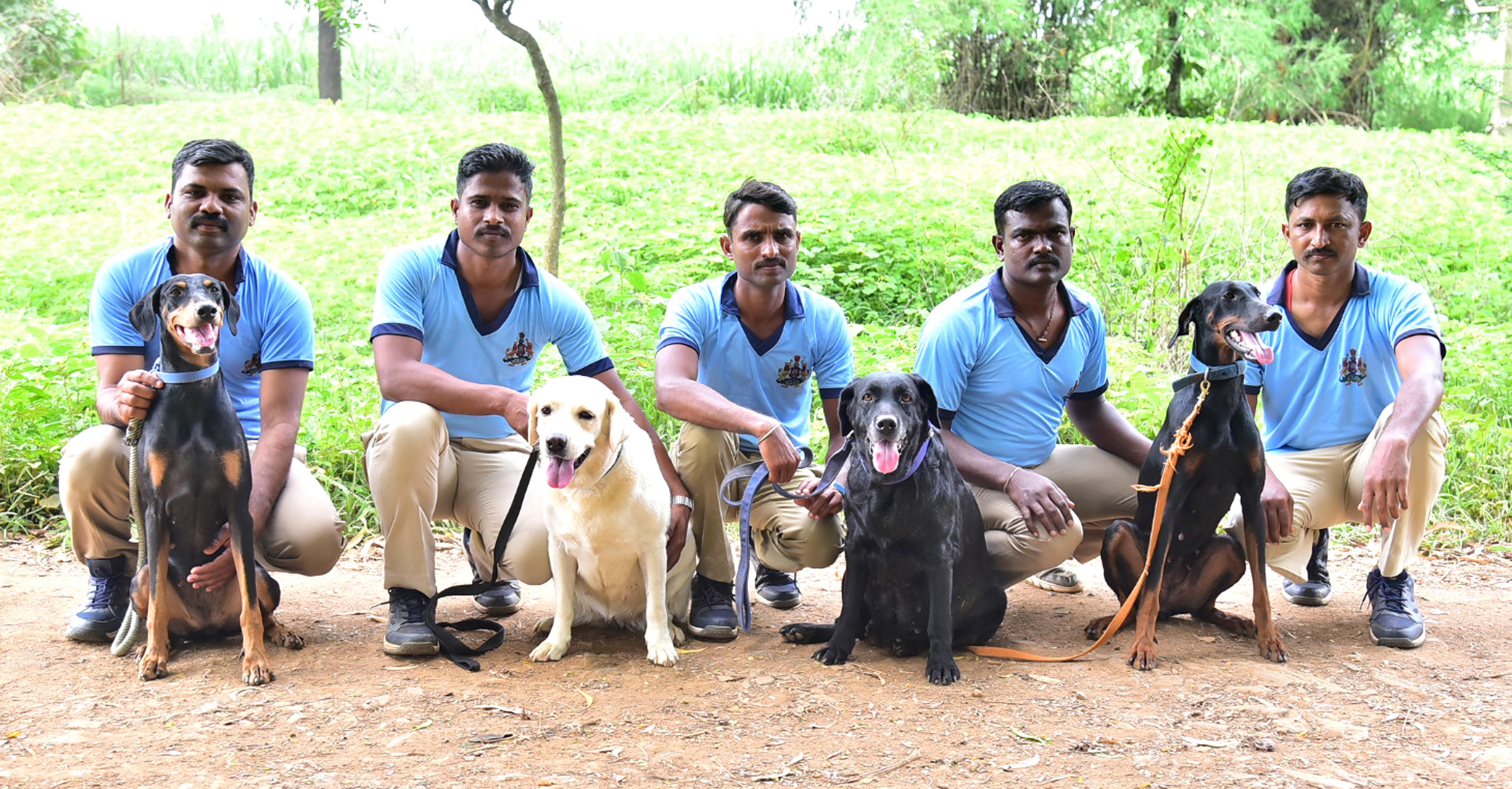 ಹಾವೇರಿ ಜಿಲ್ಲಾ ಪೊಲೀಸ್‌ ‘ಶ್ವಾನದಳ’ದಲ್ಲಿರುವ ಝಾನ್ಸಿ, ಕನಕ, ರಾಣಿ ಮತ್ತು ಪಾರು ಶ್ವಾನಗಳೊಂದಿಗೆ ತರಬೇತುದಾರರು   –ಪ್ರಜಾವಾಣಿ ಚಿತ್ರ: ಮಾಲತೇಶ ಇಚ್ಚಂಗಿ 