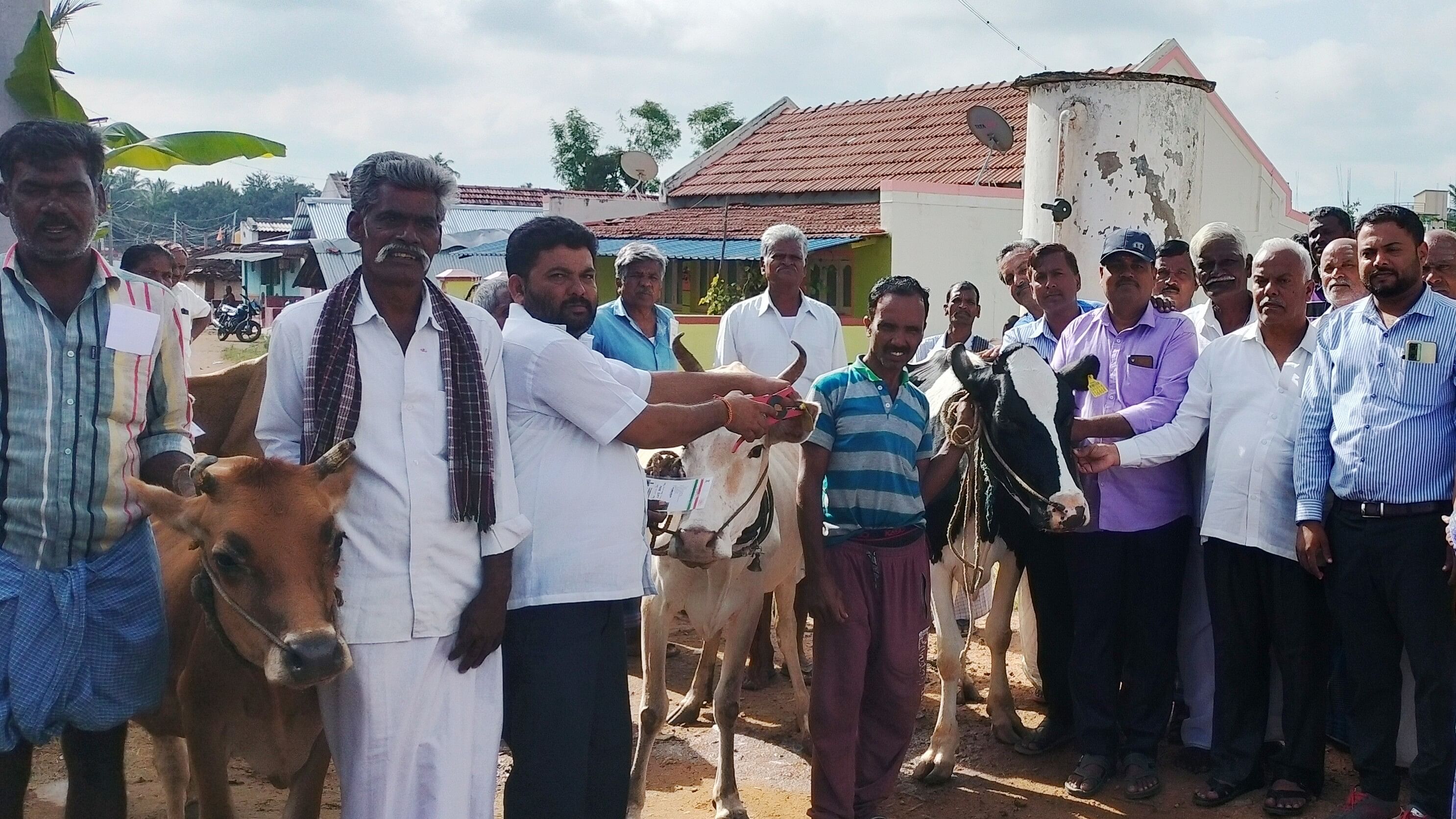 ಚಾಮರಾಜನಗರದ ಕರಿನಂಜನಪುರ ಡೇರಿ ಆವರಣದಲ್ಲಿ ಚಾಮುಲ್‌ ವತಿಯಿಂದ ರಾಸುಗಳಿಗೆ ವಿಮೆ ನೋಂದಣಿ ಮಾಡುವ ಅಭಿಯಾನಕ್ಕೆ ಚಾಲನೆ ನೀಡಲಾಯಿತು