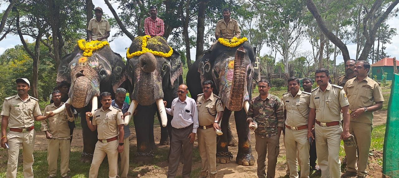 ಕೊಡಗು ಜಿಲ್ಲೆಯ ಕುಶಾಲನಗರ ಸಮೀಪದ ದುಬಾರೆ ಸಾಕಾನೆ ಶಿಬಿರದಿಂದ ಗಜಪಯಣಕ್ಕೆ ತೆರಳಿದ ಆನೆಗಳಿಗೆ ಗುರುವಾರ ಪೂಜೆ ಸಲ್ಲಿಸಲಾಯಿತು