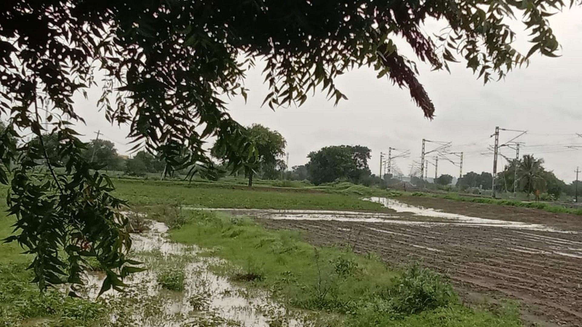 ಗದಗ ತಾಲ್ಲೂಕಿನ ದುಂದೂರು ಗ್ರಾಮದಲ್ಲಿ ಶುಕ್ರವಾರ ಸುರಿದ ಮಳೆಯಿಂದ ಹೊಲದಲ್ಲಿ ನೀರು ನಿಂತಿರುವುದು