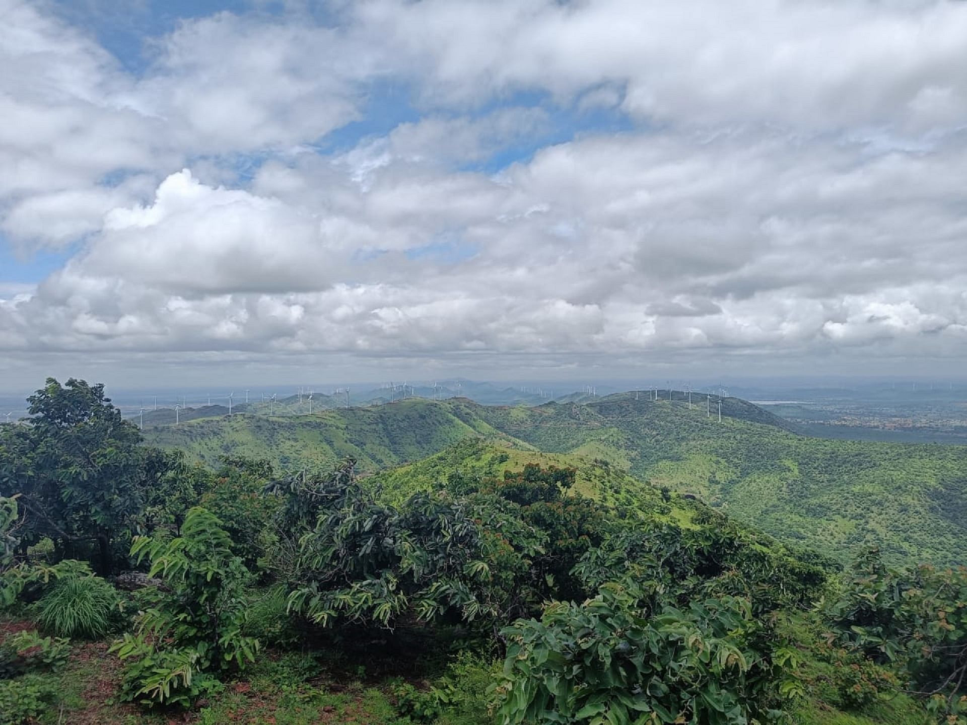 ಕಪ್ಪತ್ತಗುಡ್ಡ