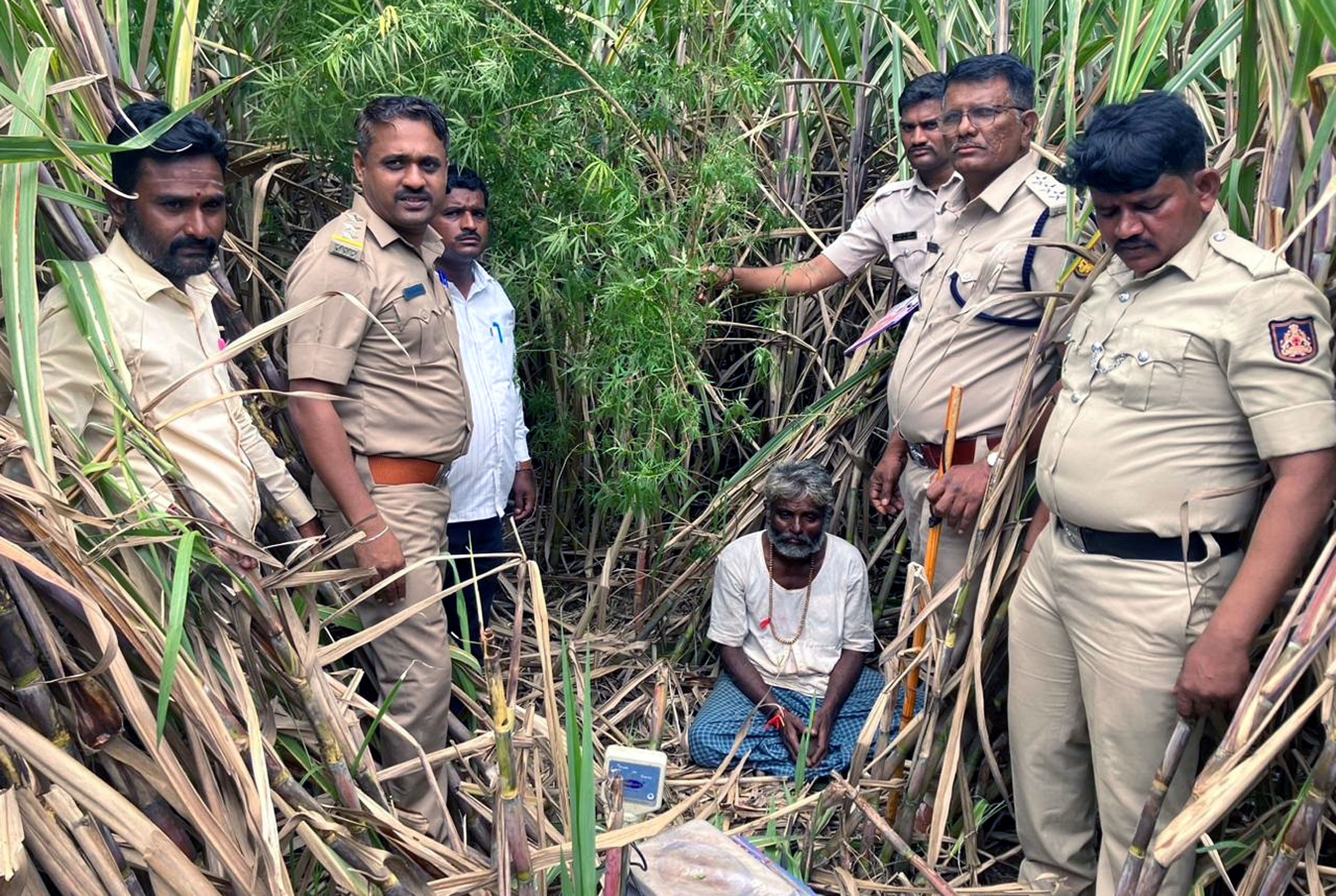 ರಾಮದುರ್ಗ ತಾಲ್ಲೂಕಿನ ಮುದೇನೂರಿನಲ್ಲಿ ಗಾಂಜಾ ಗಿಡಗಳನ್ನು ಬೆಳೆದಿದ್ದ ಲಕ್ಕಪ್ಪ ಬಾಲಪ್ಪ ಮೇತ್ರಿ ಅವರನ್ನು ಅಬಕಾರಿ ಪೊಲೀಸರು ಬುಧವಾರ ಬಂಧಿಸಿದರು 