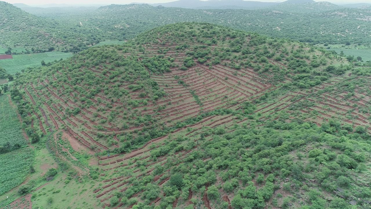 ಜಗಳೂರು ತಾಲ್ಲೂಕಿನ ದಿದ್ದಿಗಿ ಗ್ರಾಮದಲ್ಲಿ ಉದ್ಯೋಗ ಖಾತರಿ ಯೋಜನೆಯಡಿ ಟ್ರಂಚ್ ಕಂ ಬಂಡ್ ನಿರ್ಮಾಣ (ಸಂಗ್ರಹ ಚಿತ್ರ)