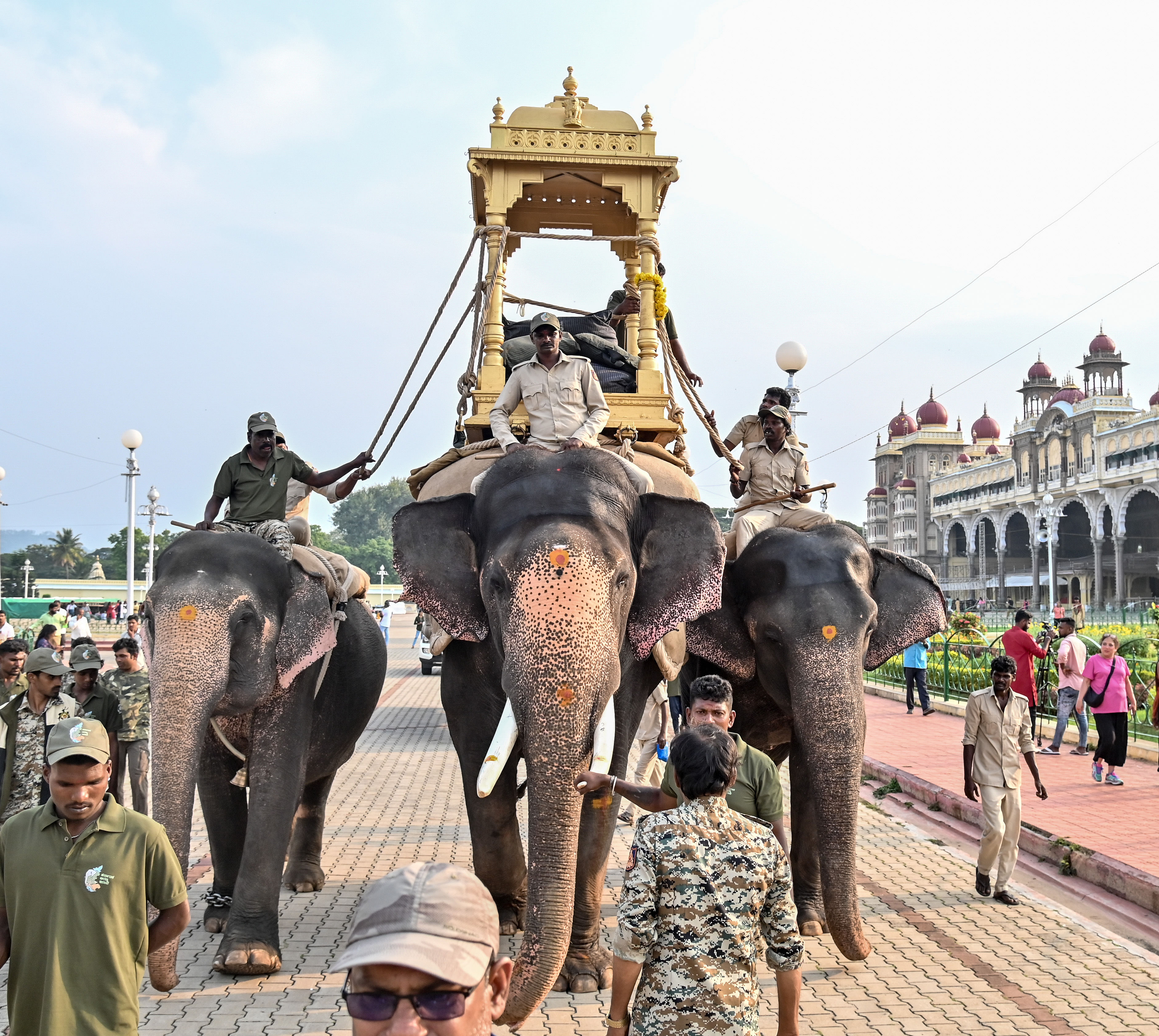 ಭವಿಷ್ಯದ ಅಂಬಾರಿ ಆನೆ ‘ಮಹೇಂದ್ರ’ಗೆ ನಡೆದ ಮರದ ಅಂಬಾರಿ ತಾಲೀಮಿನಲ್ಲಿ ಕುಮ್ಕಿ ಆನೆಗಳಾದ ಹಿರಣ್ಯ, ಲಕ್ಷ್ಮಿ ಹೆಜ್ಜೆ ಹಾಕಿದವು –ಪ್ರಜಾವಾಣಿ ಚಿತ್ರ/ ಅನೂಪ್ ರಾಘ ಟಿ.