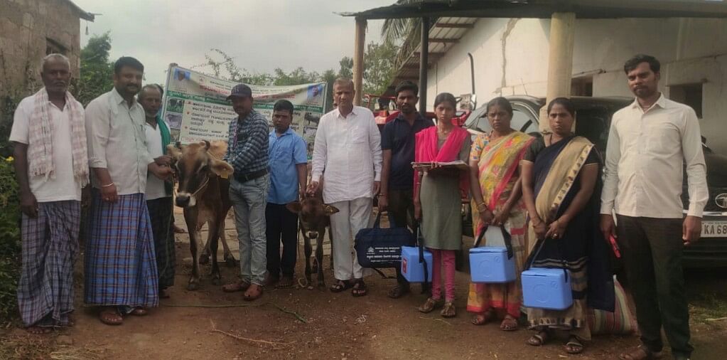 ಹಿರೇಮಾಗನೂರು ಗ್ರಾಮದಲ್ಲಿ ಗುರುವಾರ ಪಶುಸಂಗೋಪನಾ ಇಲಾಖೆ ವತಿಯಿಂದ ನಡೆದ ರಾಷ್ಟ್ರೀಯ ಕಾಲುಬಾಯಿ ಲಸಿಕಾ ಅಭಿಯಾನ ಕಾರ್ಯಕ್ರಮದಡಿ ಸ್ಥಳೀಯ ರಾಸುಗಳಿಗೆ ಲಸಿಕೆ ಹಾಕುವ ಕಾರ್ಯಕ್ರಮಕ್ಕೆ ತಾಲ್ಲೂಕು ಗ್ರಾಮೀಣ ಕಾಂಗ್ರೆಸ್ ಸಮಿತಿ ಅಧ್ಯಕ್ಷ ಮಂಜನಗೌಡ ಪಾಟೀಲ ಚಾಲನೆ ನೀಡಿದರು