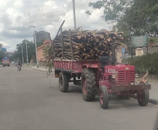 ಶಕ್ತಿನಗರದ ಆರ್‌ಟಿಪಿಎಸ್‌ ಸುತ್ತಲಿನ ಪ್ರದೇಶಗಳಲ್ಲಿ ಕಡಿದ ಮರಗಳನ್ನು ಟ್ರ್ಯಾಕ್ಟರ್‌ನಲ್ಲಿ ಸಾಗಿಸುತ್ತಿರುವುದು