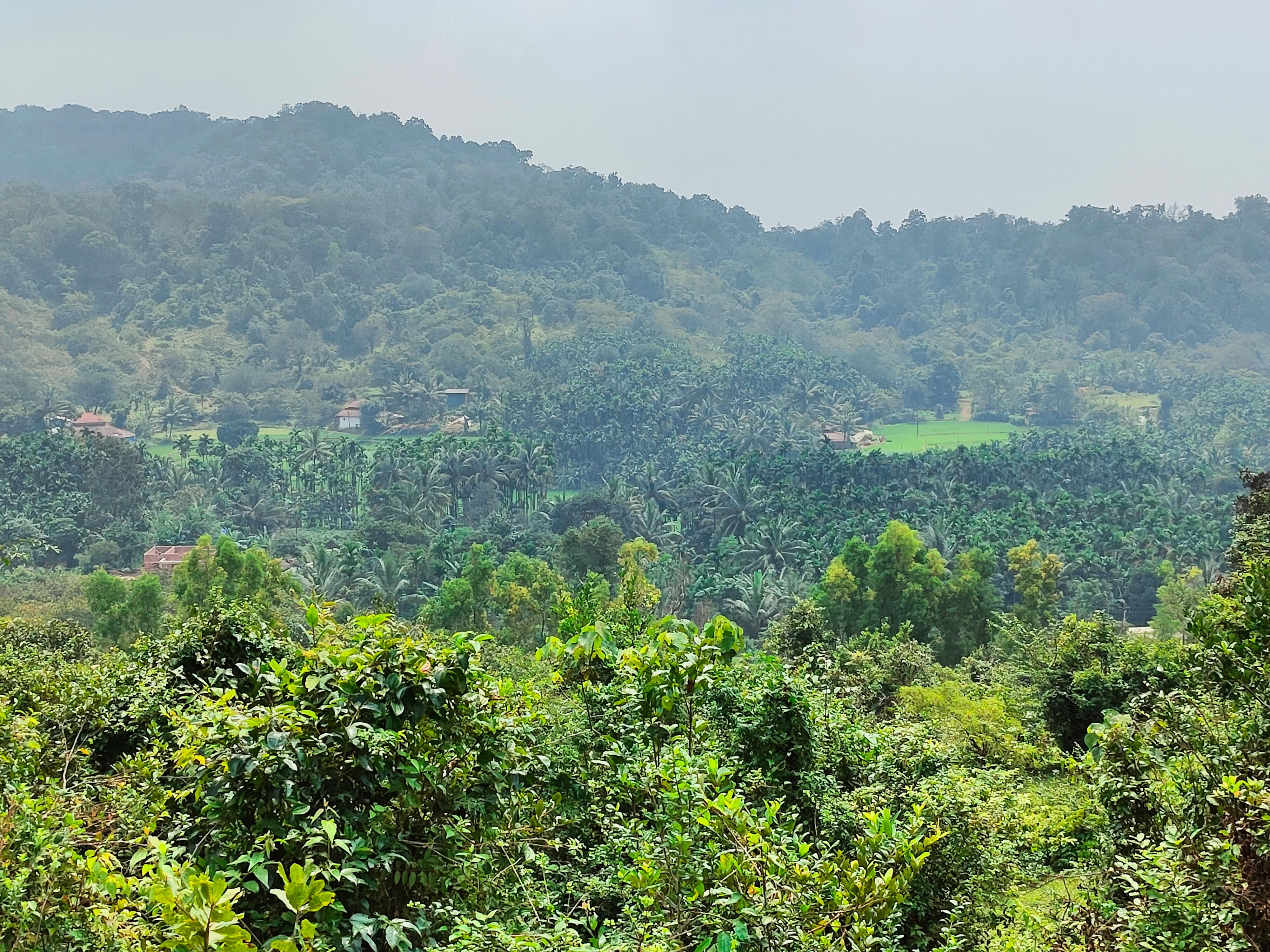 ಗುಡ್ಡಗಳ ಮೇಲೆ ಮೇಘಾನೆ